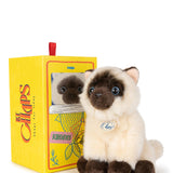B.T. Chaps - Eddie the Siamese in giftbox - 17 cm