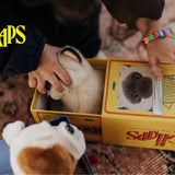 B.T. Chaps - Eddie the Siamese in giftbox - 17 cm
