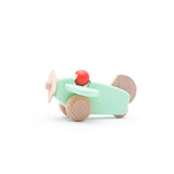 Wooden Plane - Mint Green