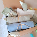 Newborn Essentials 6-Piece Baby Boy Gift Set (Green Tea)
