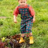 Baby Dungaree Shorts - Apples