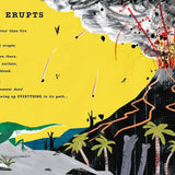 Book - A First Book of Dinosaurs (Paperback)