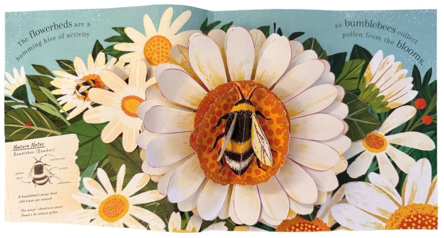 Book - Nature Pop Ups: Minibeasts (Board)