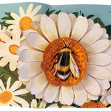 Book - Nature Pop Ups: Minibeasts (Board)