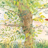 Book - Our Tree (Paperback)