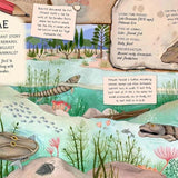 Book - The Fossil Keepers Treasure (Hardback)