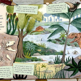 Book - The Fossil Keepers Treasure (Hardback)