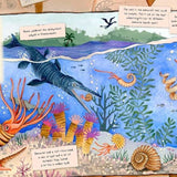 Book - The Fossil Keepers Treasure (Hardback)