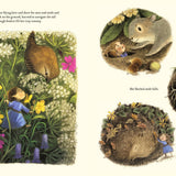 Book - Tiny Jenny: Little Fairy, Big Trouble (Paperback)