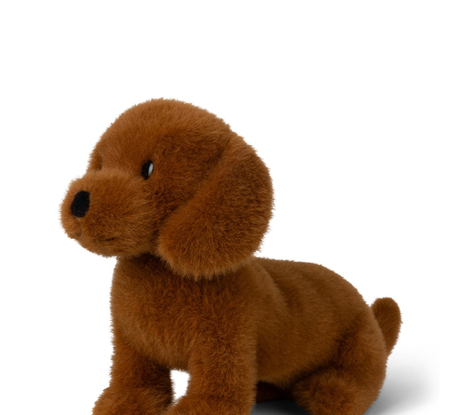 Dax the Dachshund ECO - 25cm