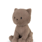 Freddy the British Shorthair in Giftbox ECO - 18cm
