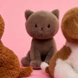 Freddy the British Shorthair in Giftbox ECO - 18cm