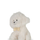 Reginald the Sheepdog in Giftbox - 18cm