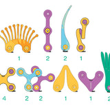 Clixo Tropical Birds Pack - Kids Magnetic Toy -