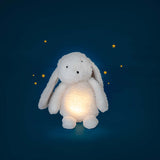 Light-Up Plush Toy Rabbit - Rechargeable Night Light