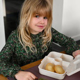 Tritan Bento Kids Lunchbox - Veggie Pals