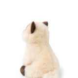 B.T. Chaps - Eddie the Siamese in giftbox - 17 cm