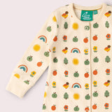 Vintage Rainbows Organic Cotton Babygrow