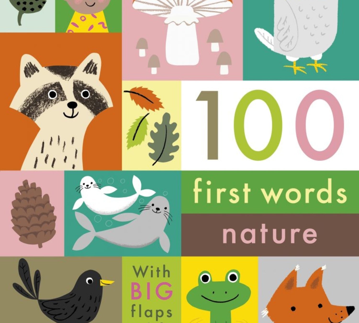 Maypole LaneBook - 100 First Words: Nature - Maypole LaneMaypole LaneBook - 100 First Words: Nature